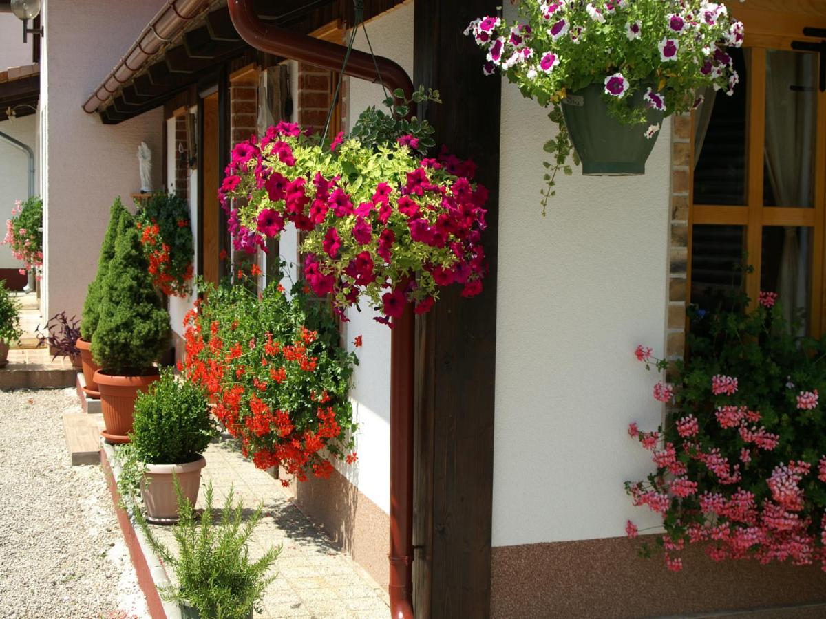 Bed & Breakfast Helena Grabovac  Ngoại thất bức ảnh