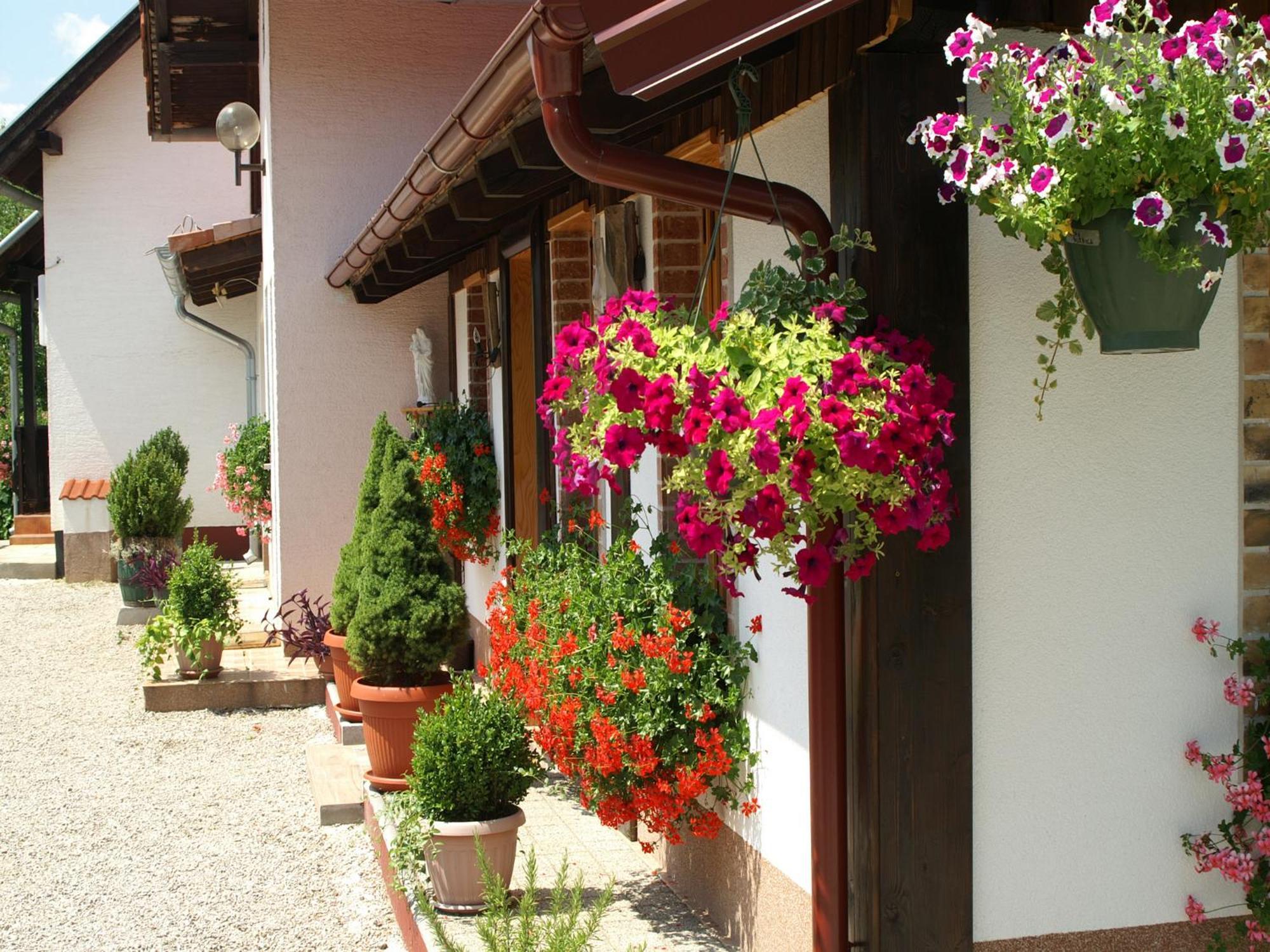 Bed & Breakfast Helena Grabovac  Phòng bức ảnh